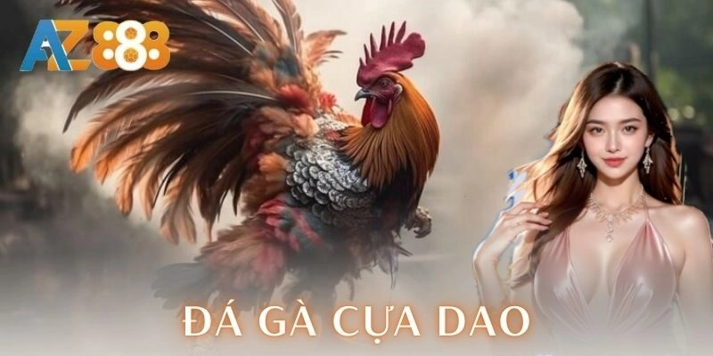Đá gà cựa dao | Trận chiến kịch trần của dân chơi 4 Đá gà cựa dao | Trận chiến kịch trần của dân chơi