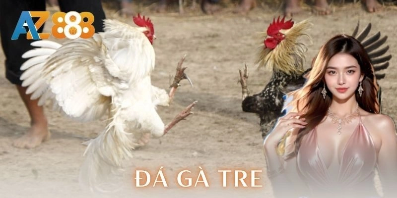 Đá gà tre - Chiến thuật và mẹo cược đỉnh cao cho anh em 5 Đá gà tre – Chiến thuật và mẹo cược đỉnh cao cho anh em